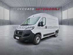 Bianco Usata 2024 Fiat Ducato Furgone | 19.692 € (Ottimo prezzo)