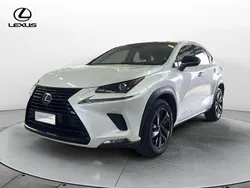Bianco Usata 2018 Lexus NX300h Sport Line SUV | 28.000 € (Cara)