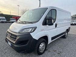 Bianco Usata 2020 Fiat Ducato Furgone | 16.900 € (Buon prezzo)