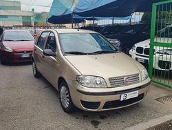 Oro Usata 2010 Fiat Punto Active Due volumi | 2300 € (Ottimo prezzo)