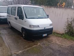 Bianco Usata 1999 Fiat Ducato Furgone | 3700 € (Buon prezzo)