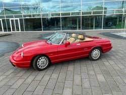 Rosso Usata 1991 Alfa Romeo Spider Cabrio | 25.900 €