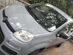Grigio Usata 2020 Fiat Panda Easy Due volumi | 7950 € (Buon prezzo)
