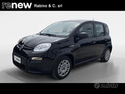 Nero Usata 2023 Fiat Panda City Life Due volumi | 11.900 € (Buon prezzo)