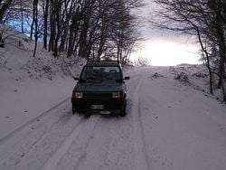 Verde Usata 1999 Fiat Panda 4x4 Trekking Due volumi | 5000 € (Buon prezzo)