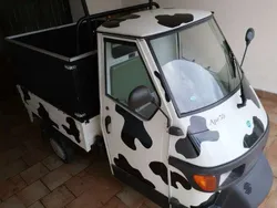 Bianco Usata 2007 Piaggio APE | 4500 €