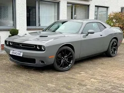 Grigio Usata 2019 Dodge Challenger Coupé | 32.900 € (Buon prezzo)