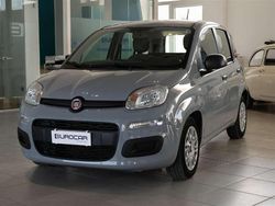 Grigio / gray Usata 2021 Fiat Panda Tre volumi | 10.950 € (Cara)
