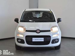 Bianco Usata 2017 Fiat Panda Easy Due volumi | 7800 € (Ottimo prezzo)