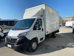 Bianco Usata 2022 Opel Movano Edition Furgone | 22.800 € (Buon prezzo)