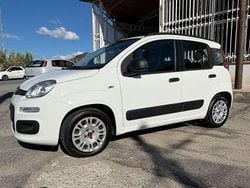 Bianco Usata 2014 Fiat Panda Lounge Due volumi | 7999 € (Buon prezzo)