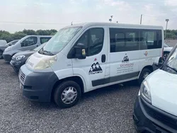 Bianco(met.) Usata 2013 Fiat Ducato Furgone | 10.500 € (Molto cara)
