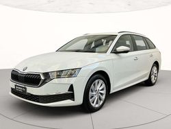 Bianco luna metallizzato Usata 2024 Skoda Octavia Executive Station wagon | 26.900 € (Buon prezzo)