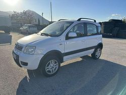 Usata 2006 Fiat Panda 4x4 Climbing Due volumi | 5500 € (Buon prezzo)
