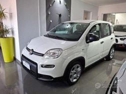 Bianco Usata 2023 Fiat Panda City Life Due volumi | 11.500 € (Buon prezzo)