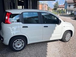 Bianco Usata 2021 Fiat Panda S Due volumi | 9500 € (Ottimo prezzo)