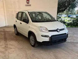 Bianco Usata 2023 Fiat Panda S Due volumi | 9950 € (Ottimo prezzo)