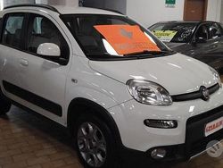 Bianco / pastello Usata 2014 Fiat Panda 4x4 S Due volumi | 9800 € (Cara)
