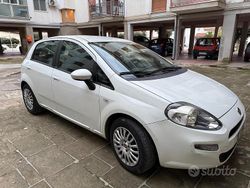 Bianco Usata 2014 Fiat Punto Street Due volumi | 4500 € (Ottimo prezzo)
