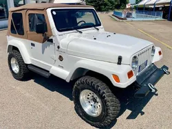 Bianco Usata 1998 Jeep Wrangler Sahara SUV | 24.900 € (Cara)