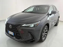 Grigio scuro Usata 2023 Lexus NX350h SUV | 42.900 €