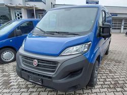 Blu/azzurro Usata 2020 Fiat Ducato Furgone | 17.000 € (Buon prezzo)