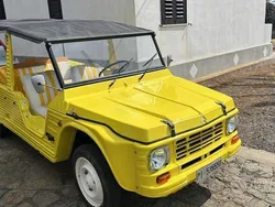 Usata 1976 Citroën Méhari Cabrio | 20.000 €