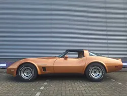Oro Usata 1982 Chevrolet Corvette Coupé | 24.950 €