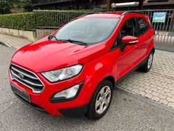 Rosso Usata 2019 Ford Ecosport Titanium SUV | 11.990 € (Ottimo prezzo)