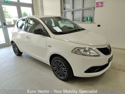 Bianco Usata 2019 Lancia Ypsilon Gold Due volumi | 10.500 € (Buon prezzo)