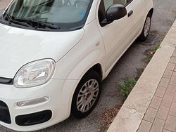 Bianco Usata 2017 Fiat Panda Due volumi | 3750 € (Ottimo prezzo)
