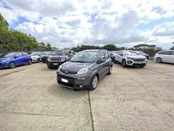 Grigio Usata 2022 Fiat Panda City Life Due volumi | 11.800 € (Cara)