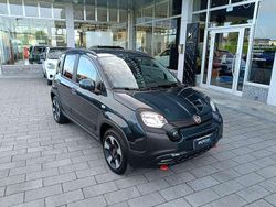 Verde foresta Usata 2024 Fiat Panda Cross Cross Due volumi | 13.950 € (Buon prezzo)