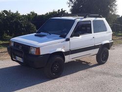 Bianco Usata 2001 Fiat Panda 4x4 Trekking Due volumi | 7900 €
