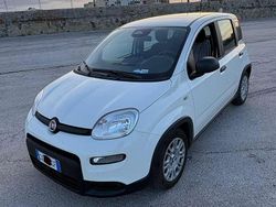 Bianco Usata 2025 Fiat Panda S Due volumi | 12.800 € (Buon prezzo)