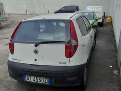Bianco Usata 2008 Fiat Punto Due volumi | 2000 € (Buon prezzo)