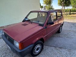 Rosso Usata 2003 Fiat Panda Due volumi | 1100 € (Ottimo prezzo)