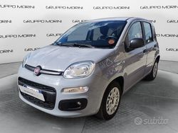 Grigio Usata 2020 Fiat Panda Easy Due volumi | 8900 € (Buon prezzo)