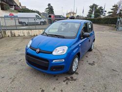 Blu Nuova 2025 Fiat Panda Icon Tre volumi | 14.000 €