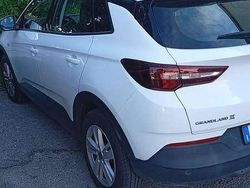 Usata 2021 Opel Grandland X Business Edition SUV | 17.499 € (Buon prezzo)