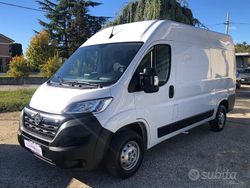 Bianco Usata 2024 Opel Movano S Furgone | 17.900 € (Super prezzo)