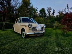 Giallo Usata 1950 Fiat 1100 Tre volumi | 15.000 €