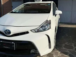 Bianco Usata 2016 Toyota Prius+ Active Monovolume | 16.499 € (Ottimo prezzo)