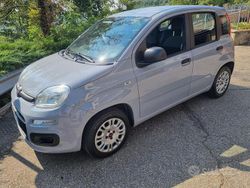 Grigio Usata 2019 Fiat Panda Easy Due volumi | 9400 €
