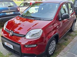 Rosso Usata 2024 Fiat Panda S Due volumi | 12.900 € (Buon prezzo)