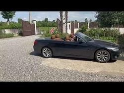 Usata 2010 BMW 320 Cabriolet Cabrio | 9000 € (Ottimo prezzo)