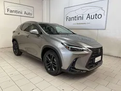 Grigio Nuova 2025 Lexus NX350h SUV | 54.880 €