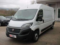 Bianco Usata 2020 Fiat Ducato Furgone | 16.999 € (Ottimo prezzo)