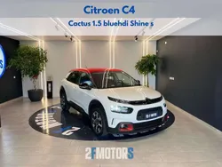 Bianco Usata 2019 Citroën C4 Cactus Shine Due volumi | 13.500 € (Buon prezzo)