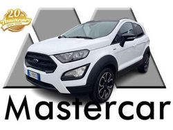 Frozen white pastello Usata 2022 Ford Ecosport Active SUV | 13.500 € (Ottimo prezzo)